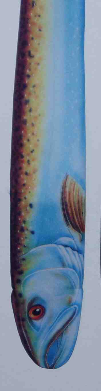 Fish tie